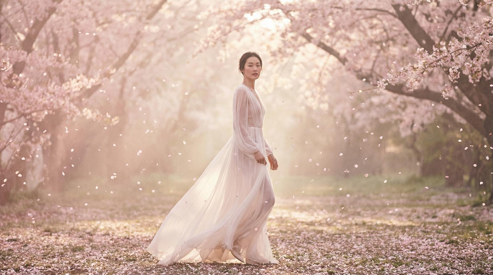 高清动漫樱花季唯美视频